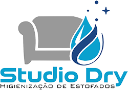 logo-studio-dry